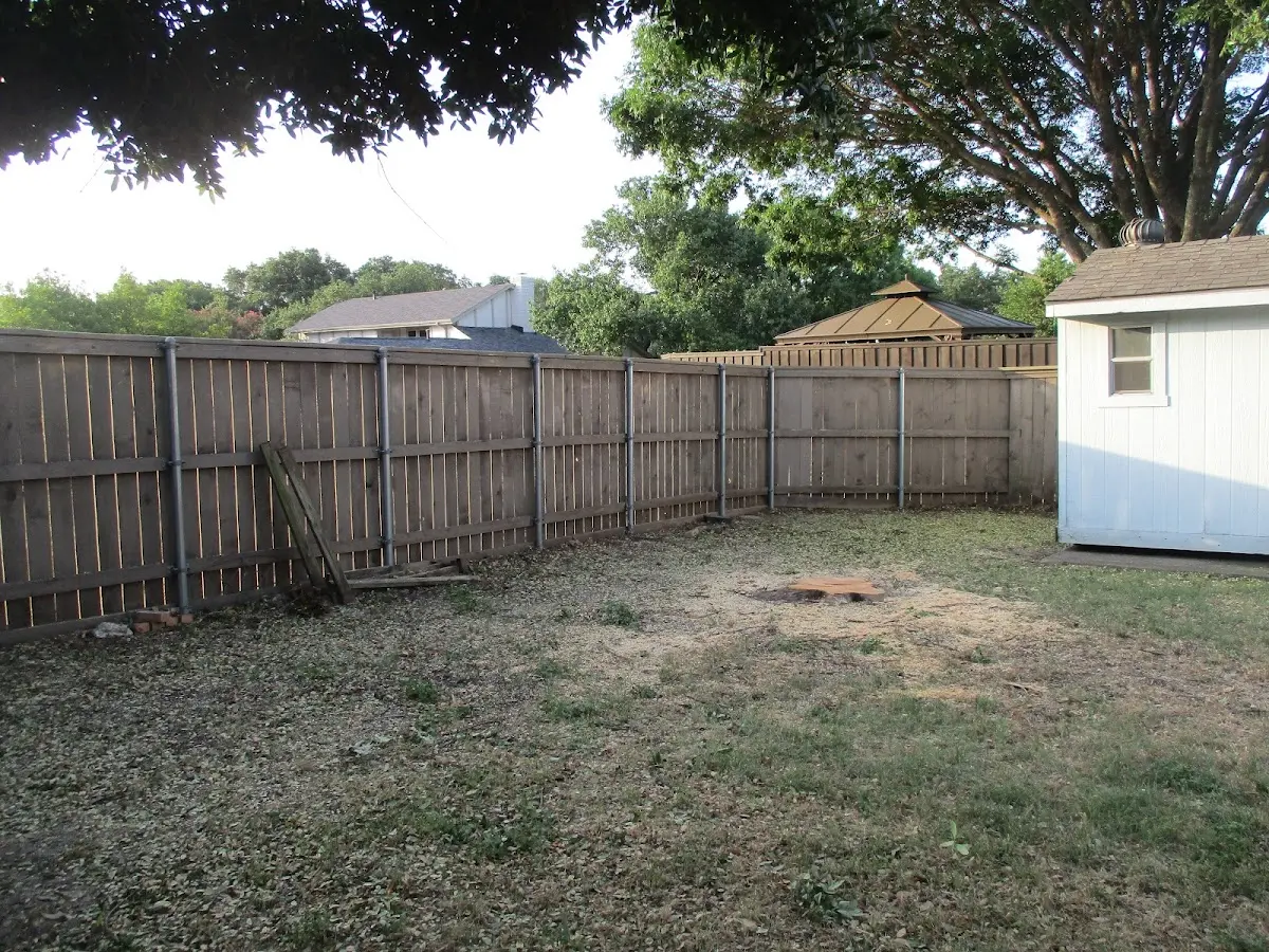 Cleared yard after professional tree removal in Huntington